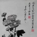 书画练习