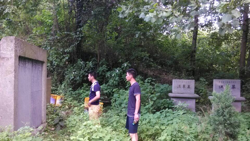 QQ图片20140719085115.jpg