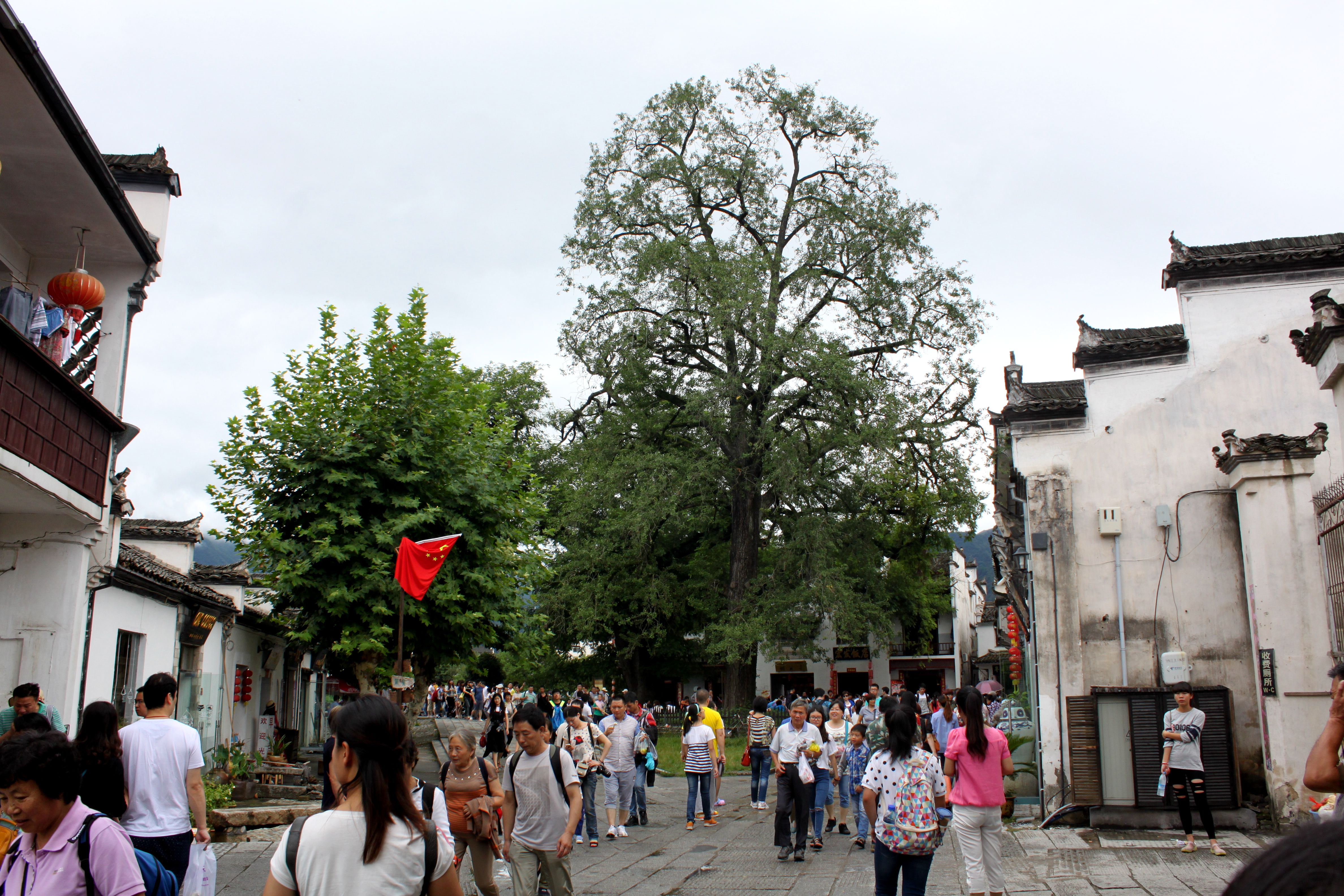 IMG_5625_副本.jpg