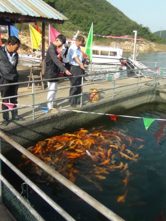 QQ图片20141005141122.jpg
