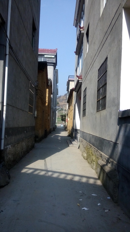 IMG_20150213_121924.jpg