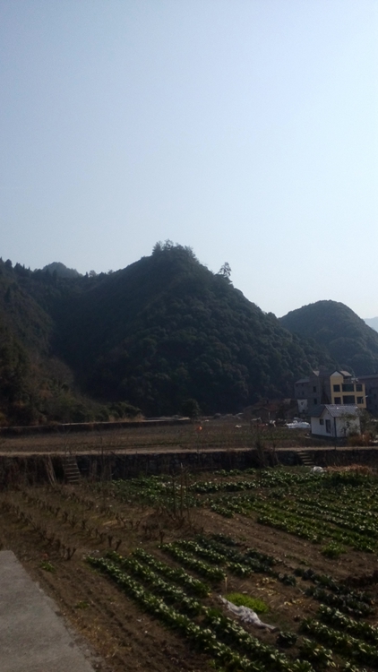 IMG_20150213_134013.jpg