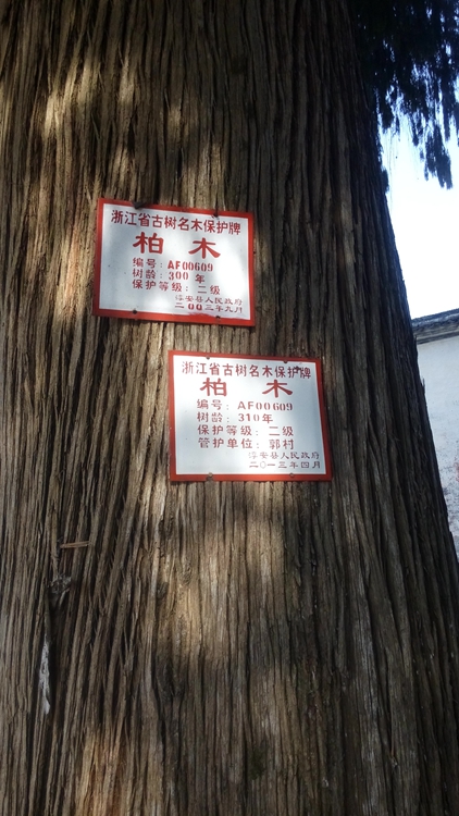 IMG_20150213_103714.jpg