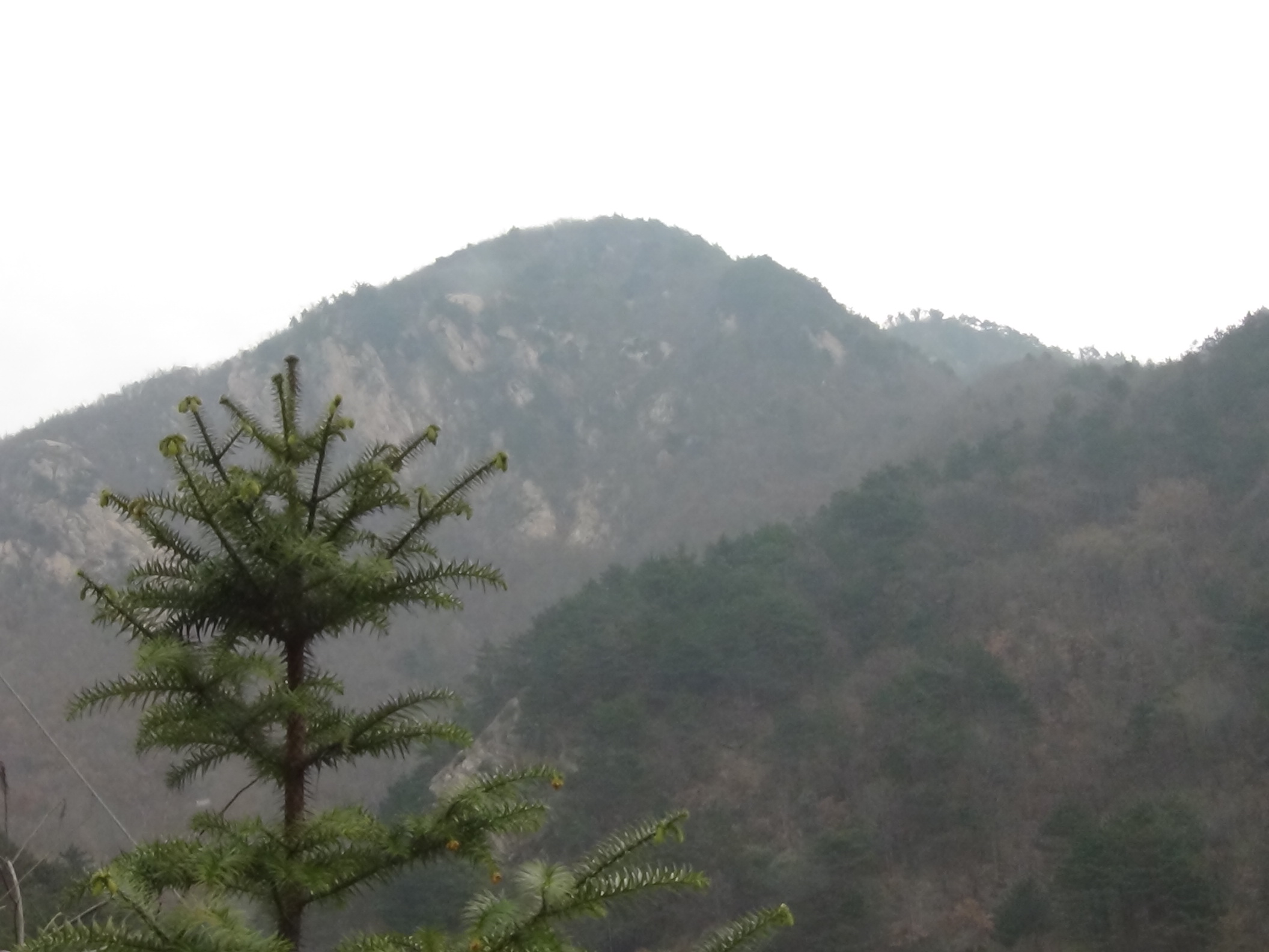 大别山深处