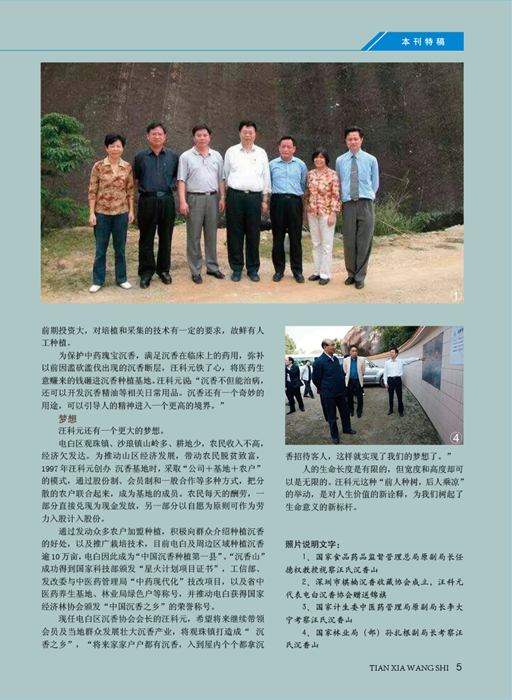 天5.jpg