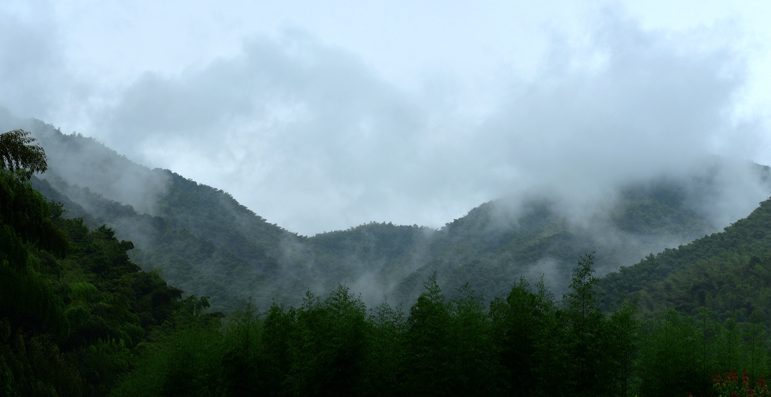 DSC_6552_副本.jpg