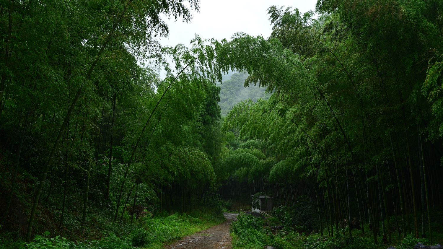 DSC_6553_副本.jpg