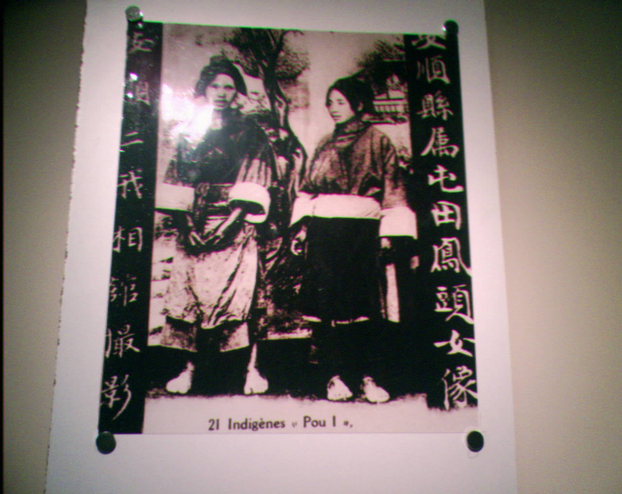 凤头女像