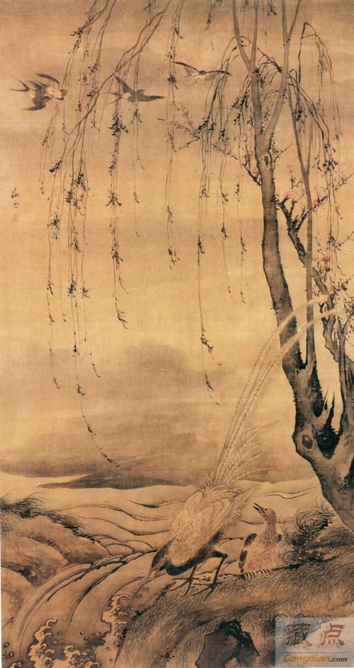 柳禽白鹇图