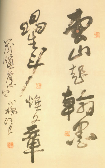 汪良4.jpg