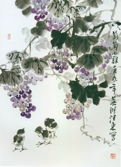 葡萄小鸡