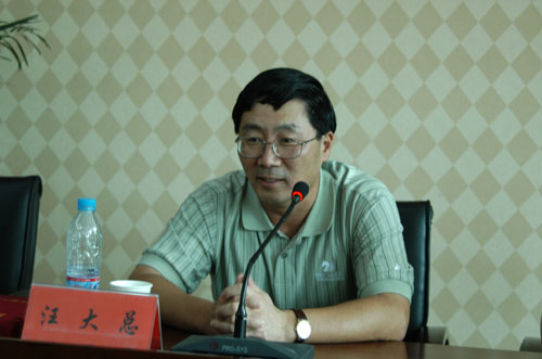 汪大总