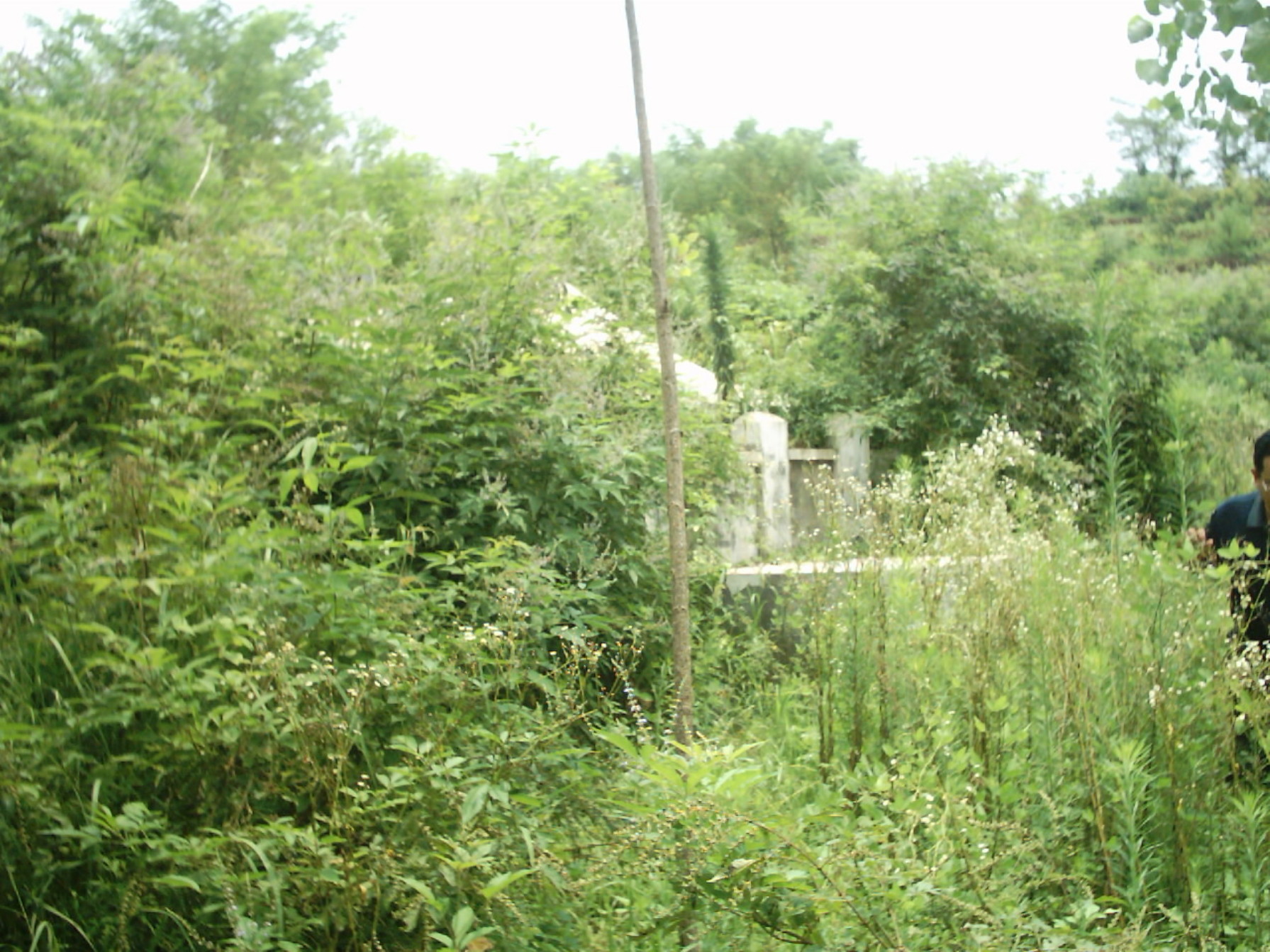 IMAGE0082.JPG.JPG