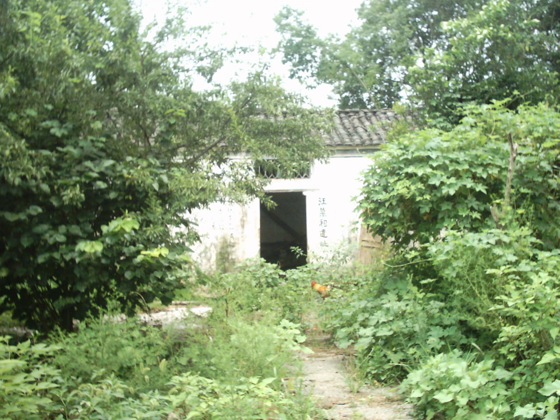 IMAGE0053.JPG.JPG