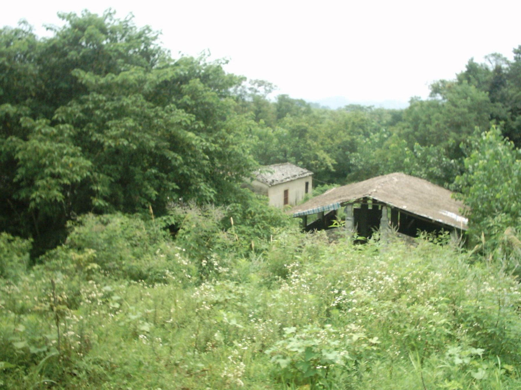 IMAGE0103.JPG.JPG