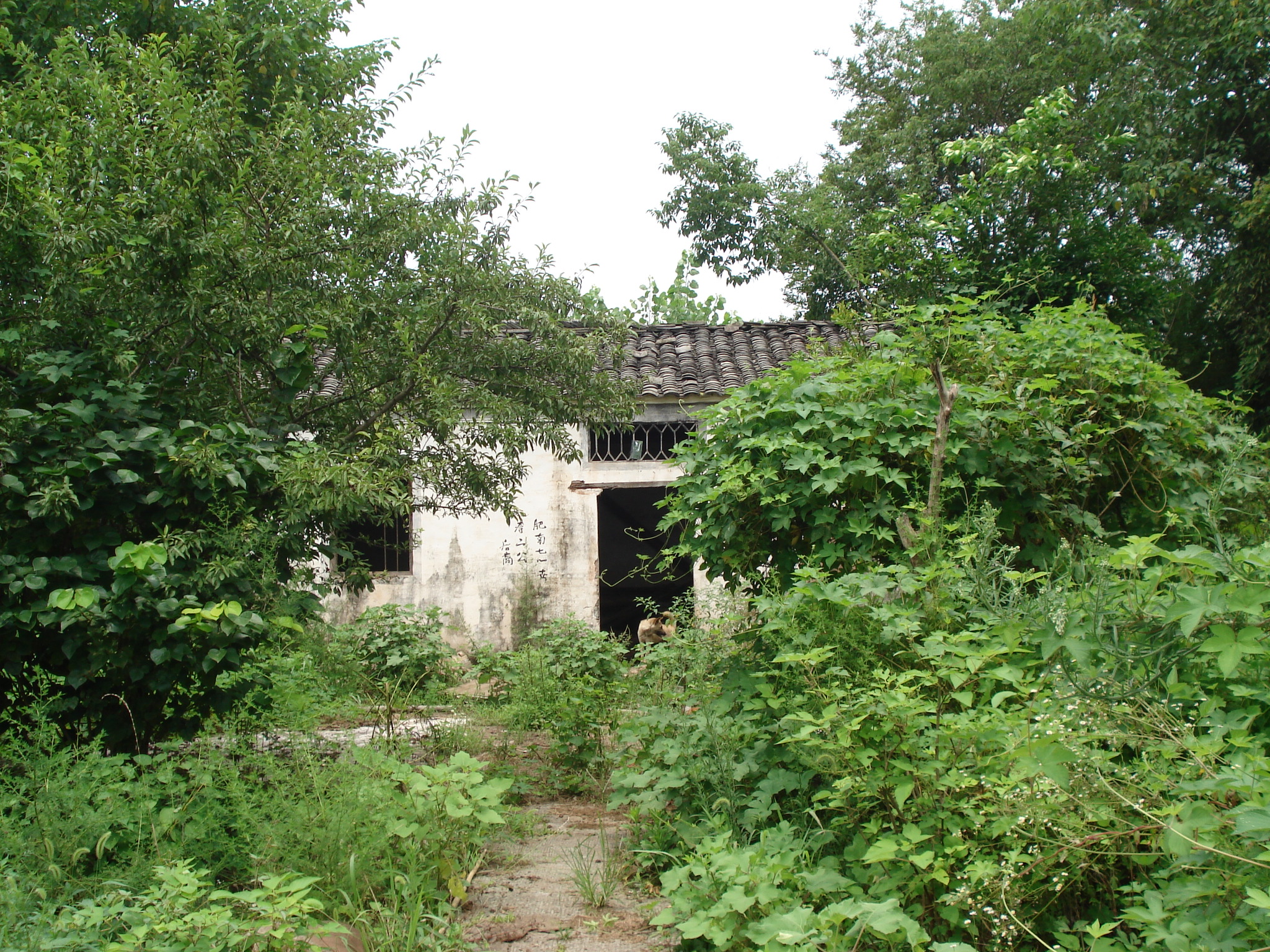 汪华墓.jpg
