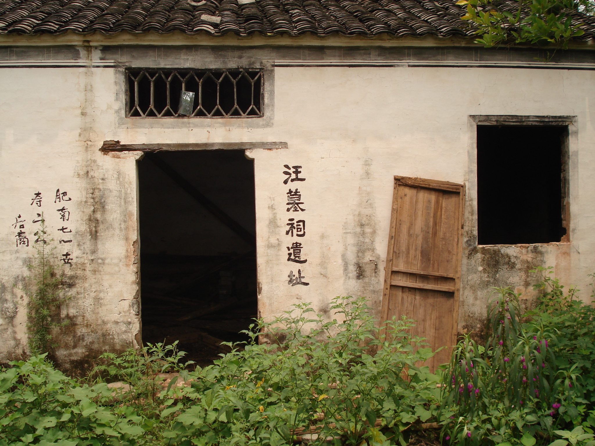 遗址成鸡舍.jpg