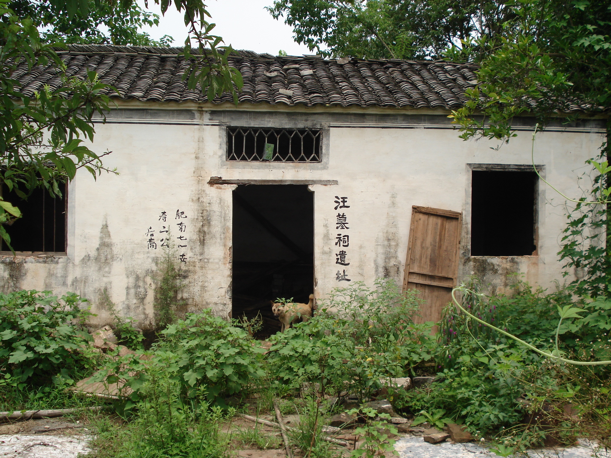 汪华墓1.jpg