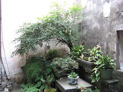 照片 069.jpg