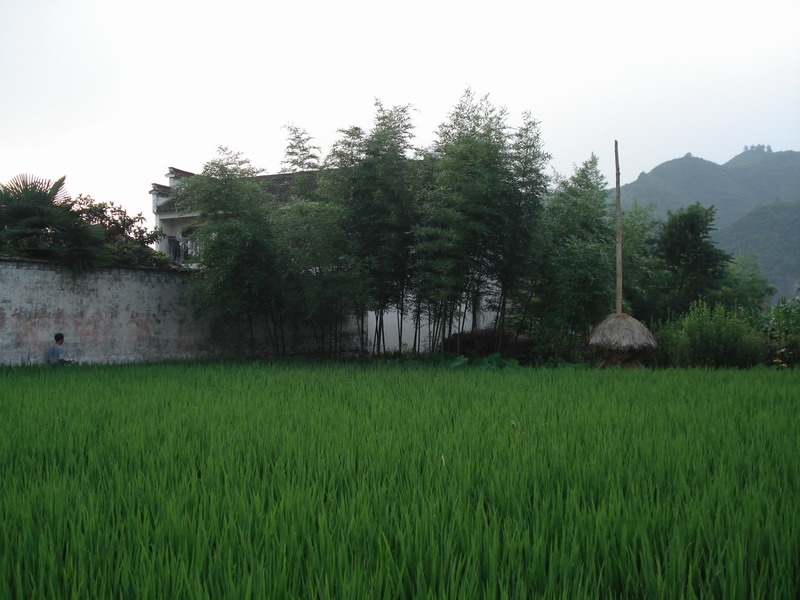 汪村.JPG