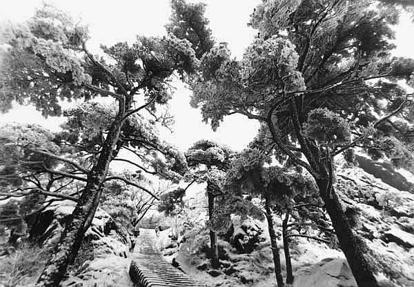 10_90749_ad612a15953632b.jpg