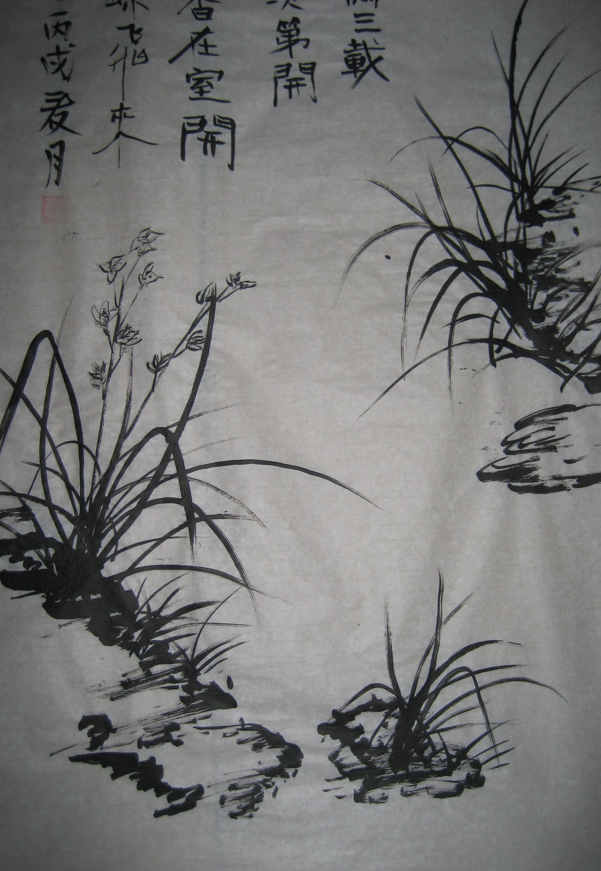 兰花.jpg