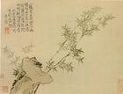 u=249524471,1208485371&gp=2.jpg