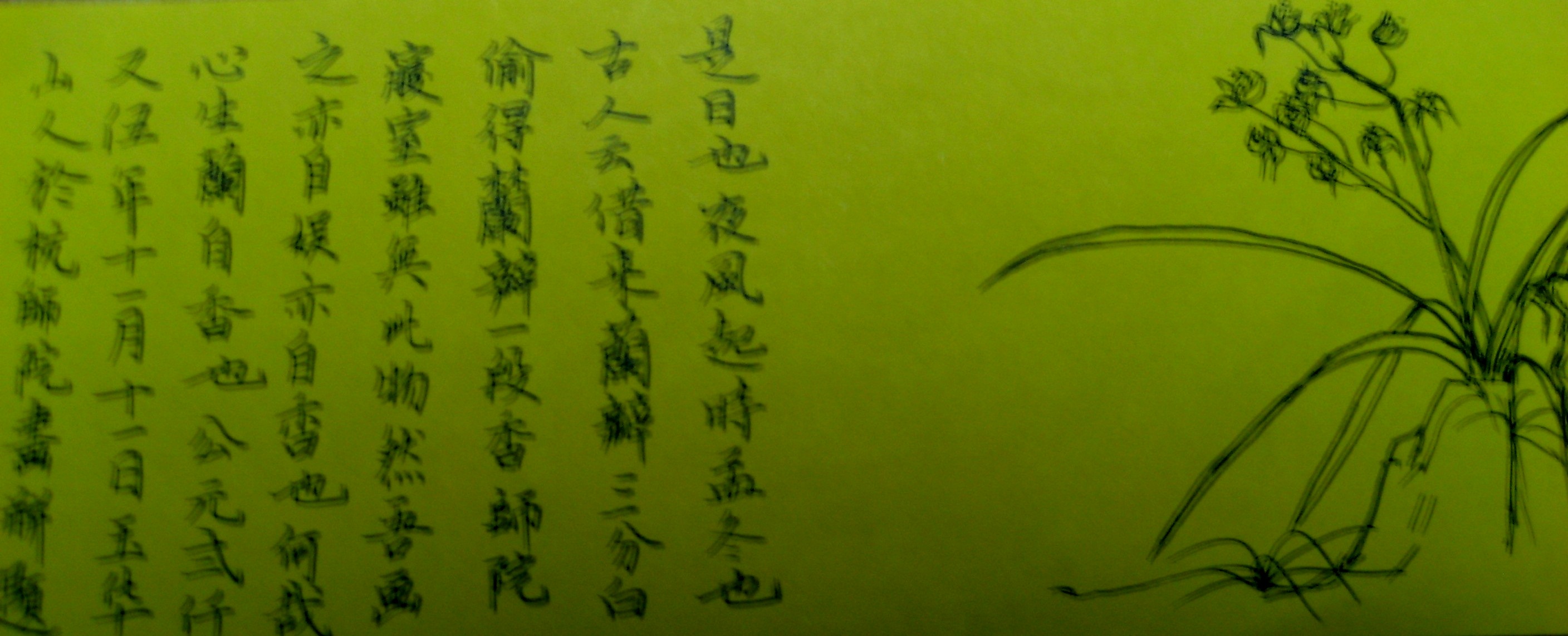 兰花(清高)