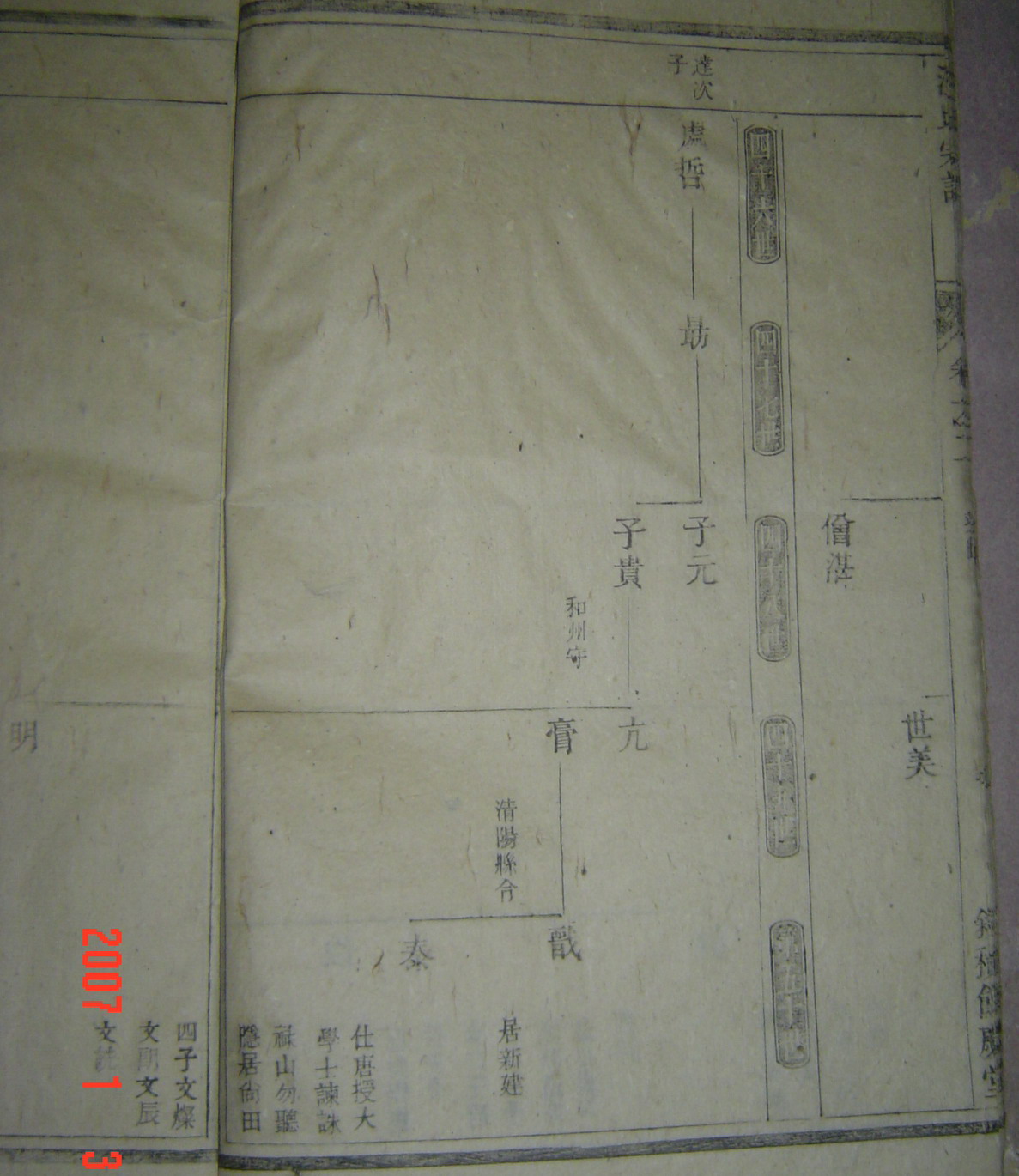 家谱图片14