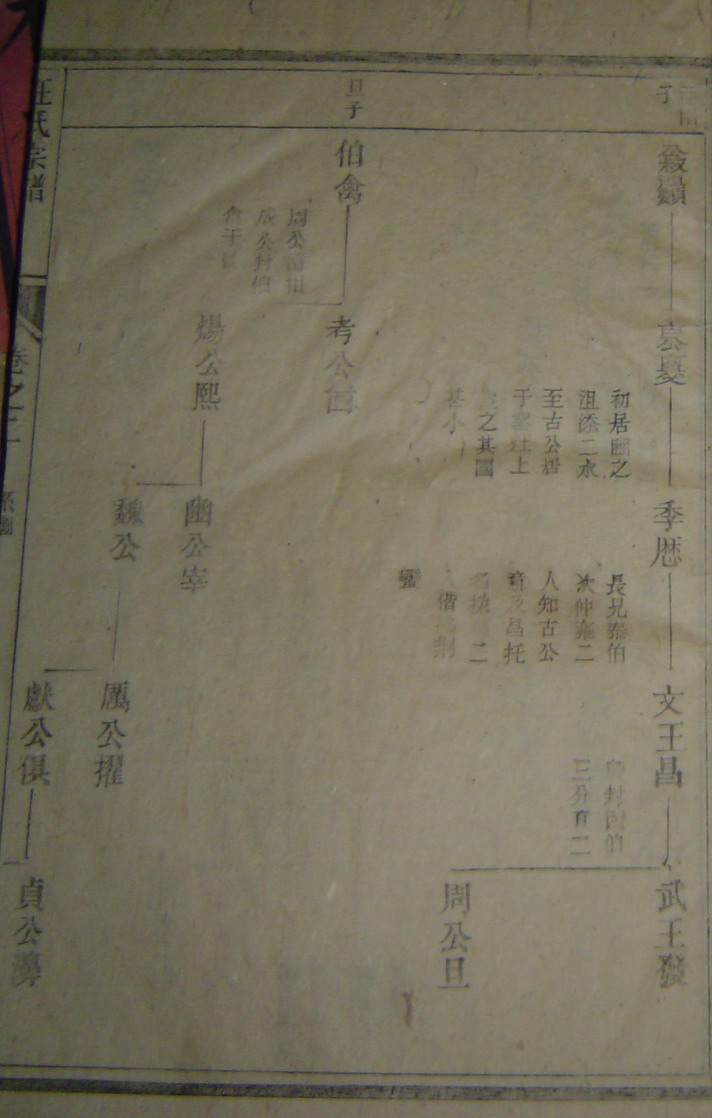家谱图片5