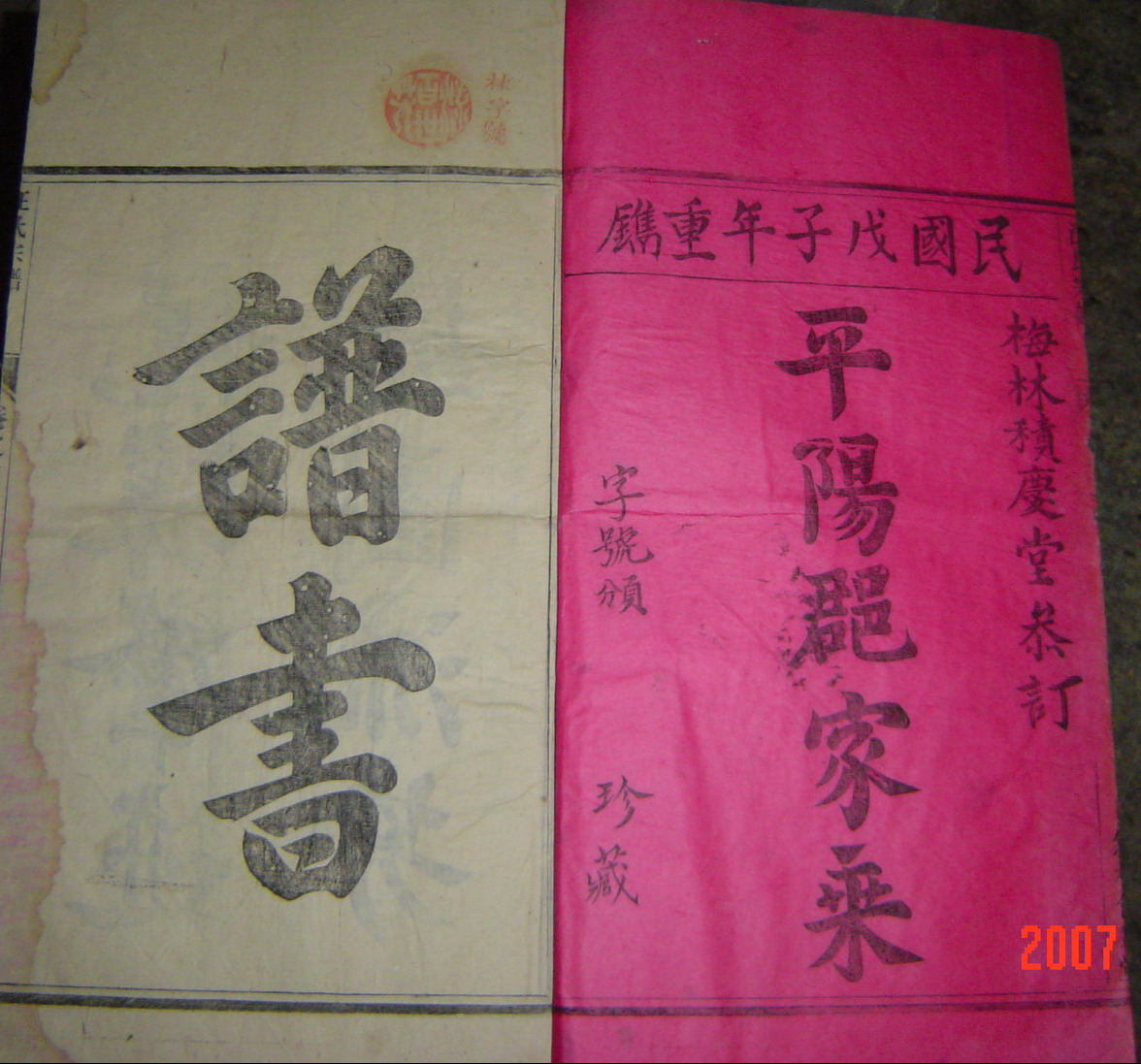 家谱图片1