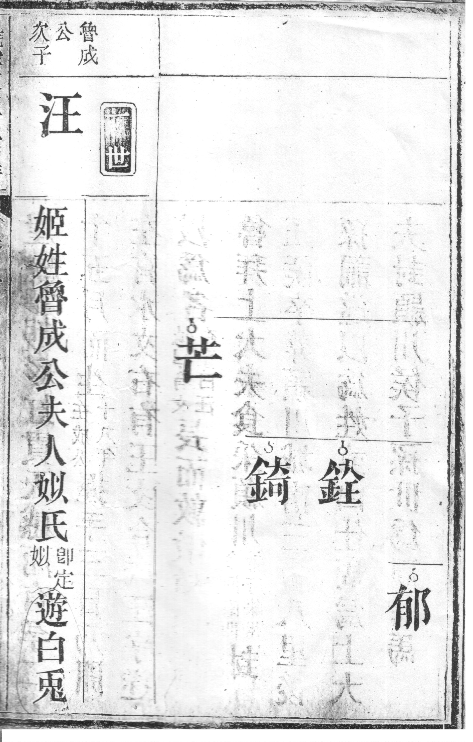 系2.jpg