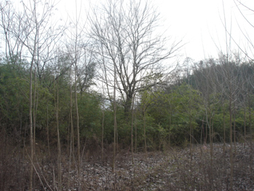 DSC05860 副本.jpg