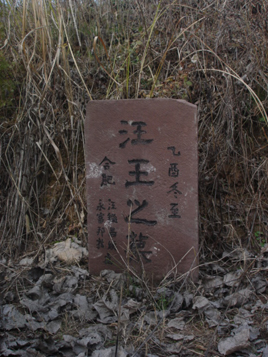 DSC05861 副本.jpg