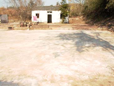 P1080106 副本.jpg