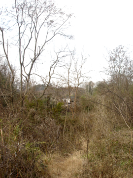 DSC05882 副本.jpg