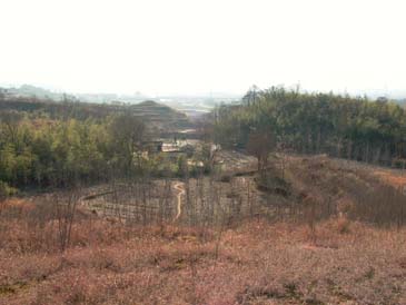 P1080115 副本.jpg
