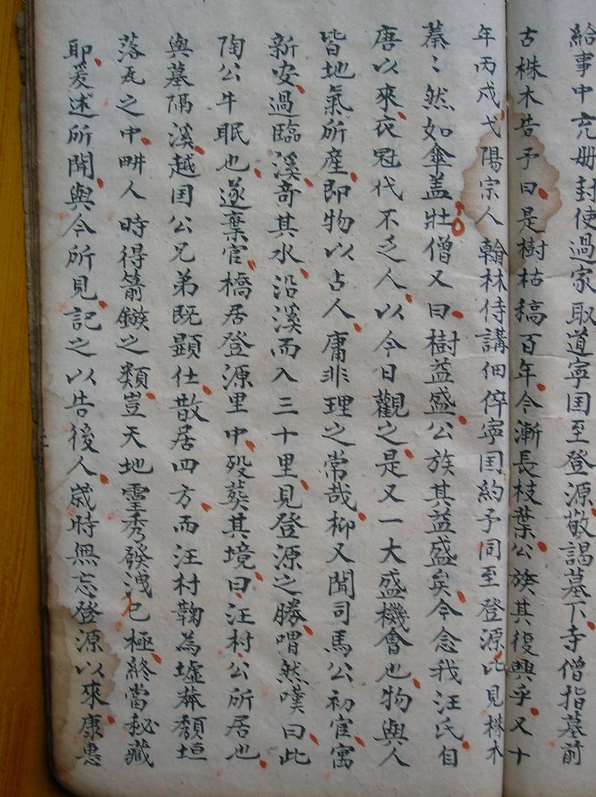 DSCN2703.JPG