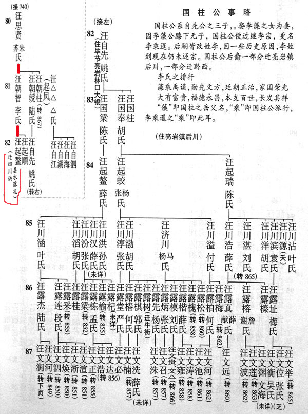 847.jpg