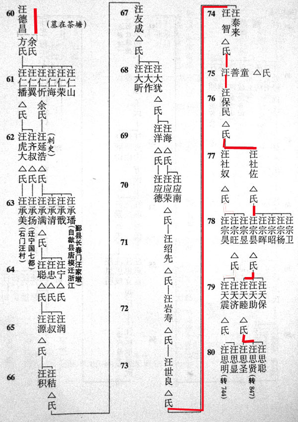740.jpg