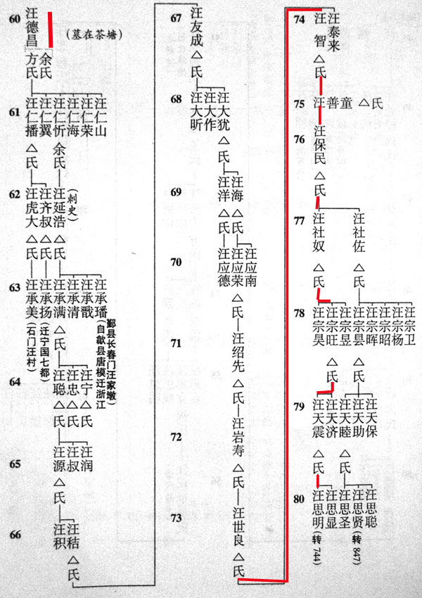 740.jpg