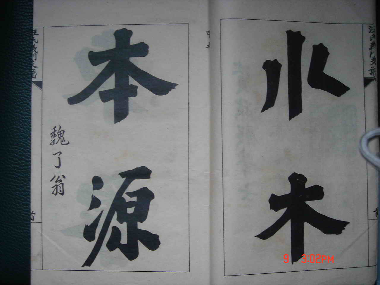 DSC01981.jpg