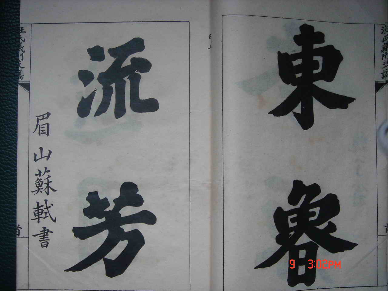 DSC01982.jpg