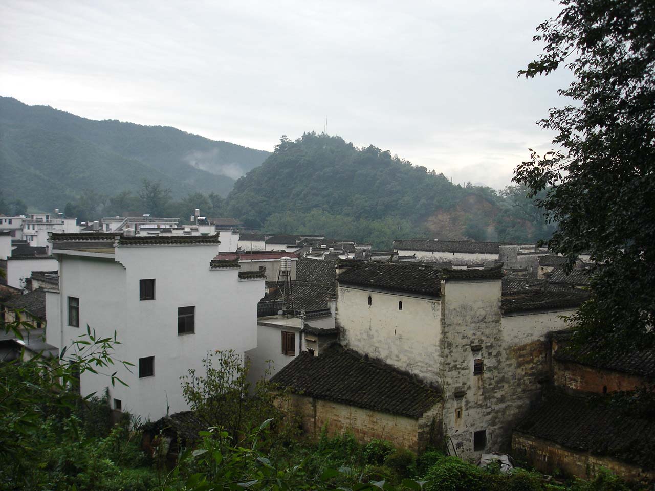 晓起的早晨