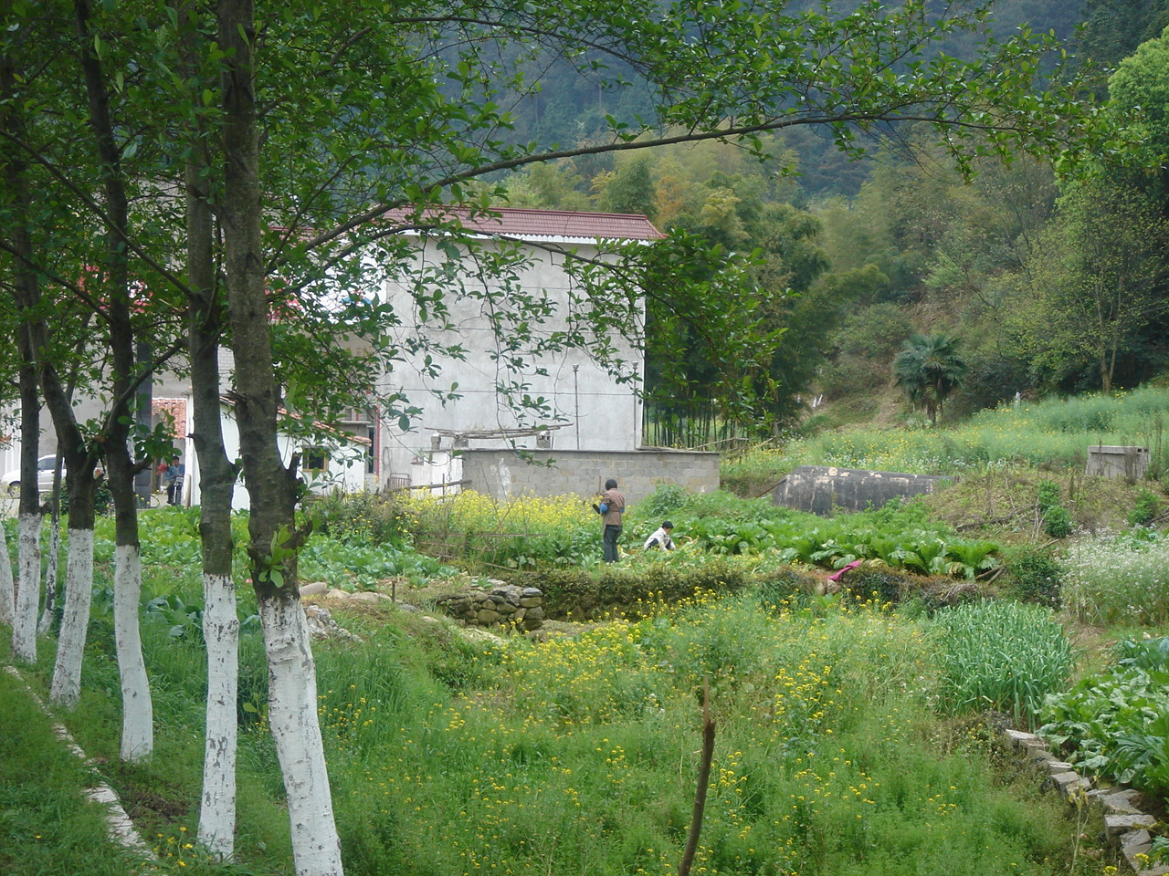 DSC05330.JPG