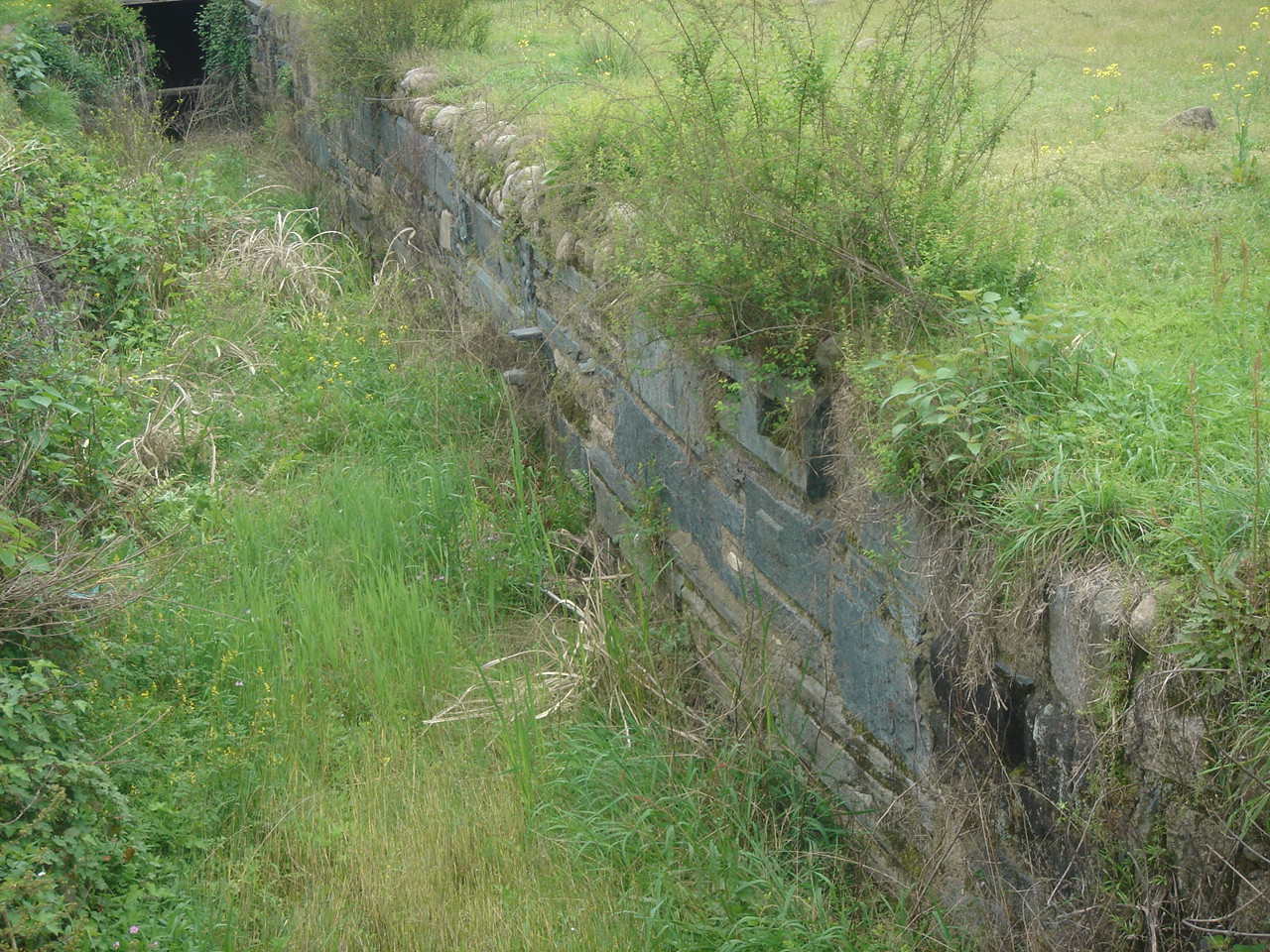 DSC05346.JPG