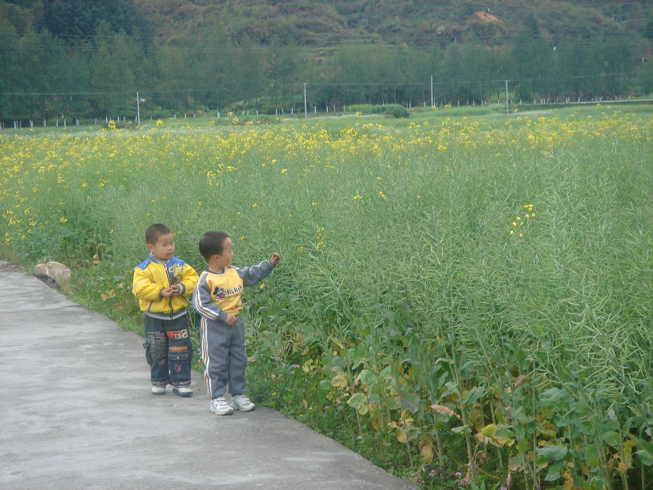 DSC05337.JPG