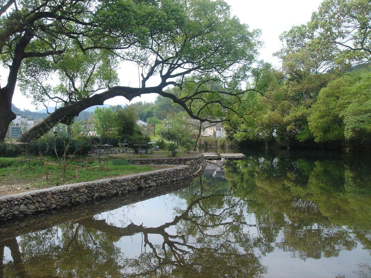 DSC05253.JPG