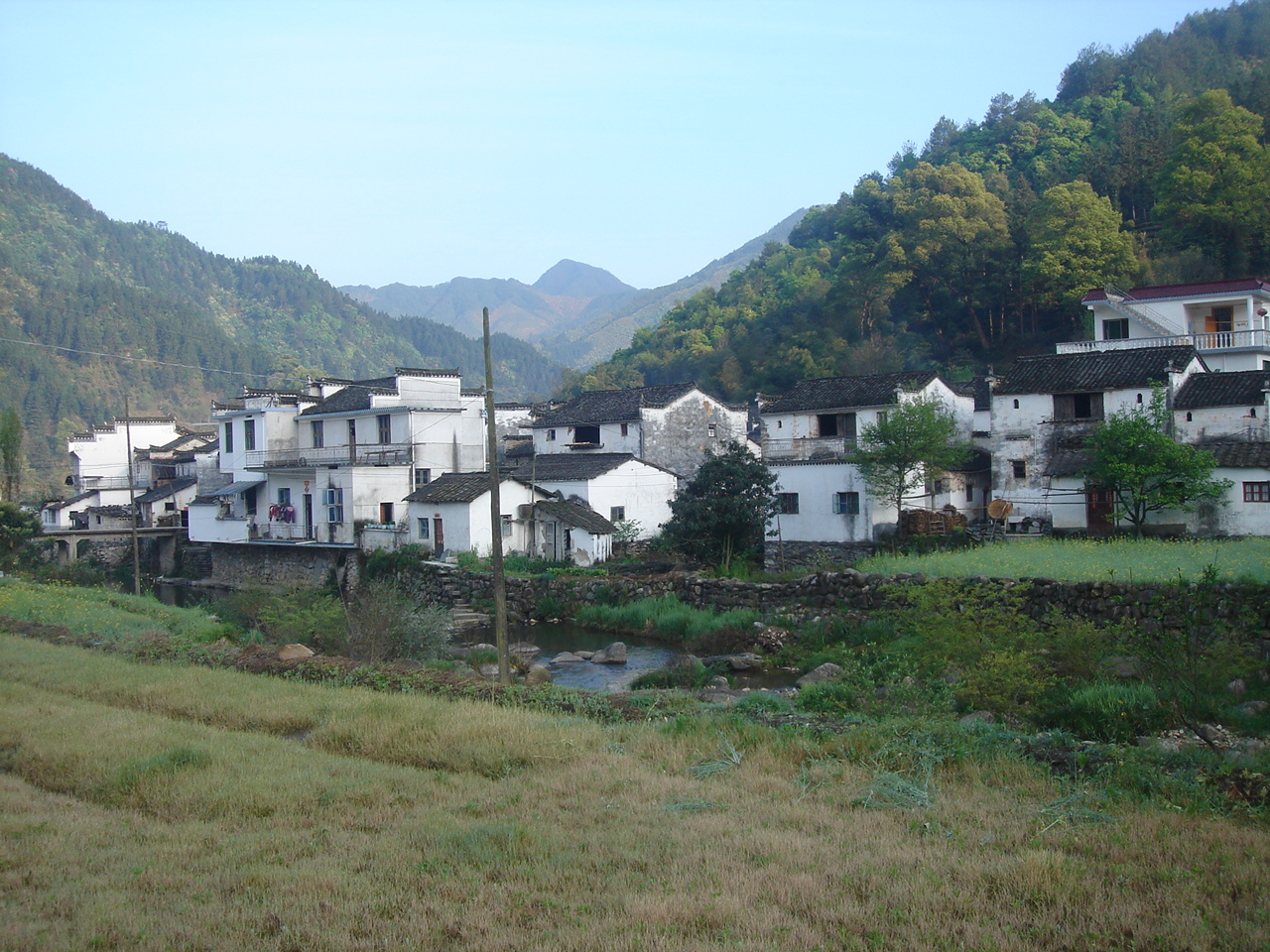 DSC05136.JPG