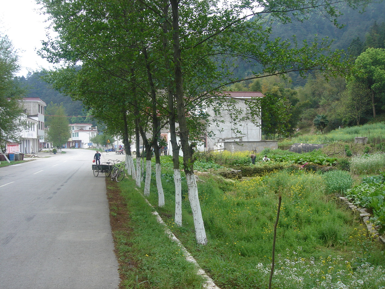 DSC05329.JPG